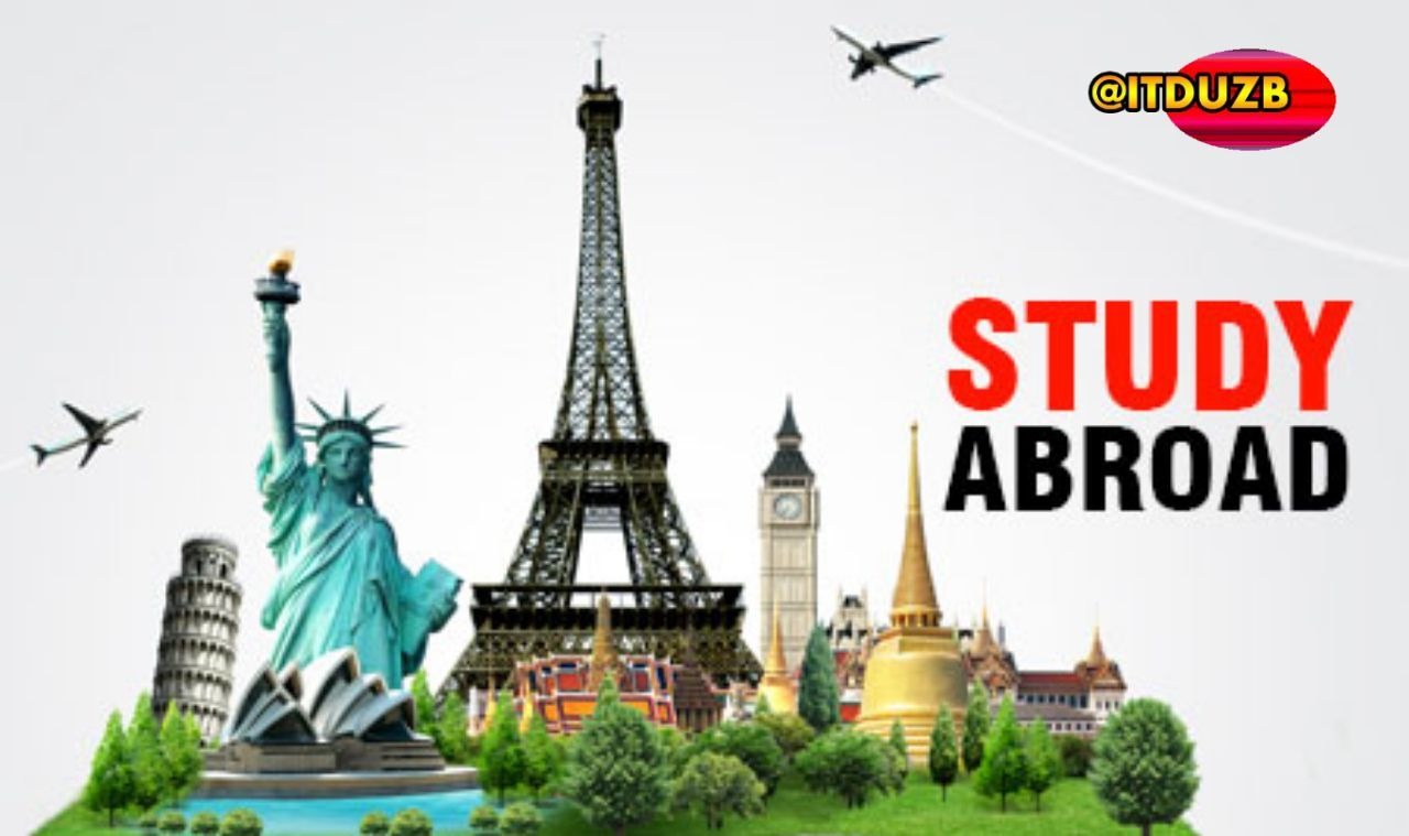 Should You Study Abroad